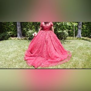 Selling my Quince dress I only ever tried it on for a pics then went untouched.